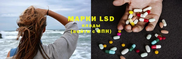 PSILOCYBIN Абаза