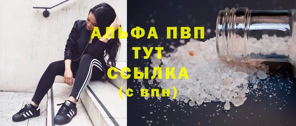 PSILOCYBIN Абаза