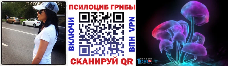 магазин  наркотиков  кракен ССЫЛКА  Псилоцибиновые грибы GOLDEN TEACHER  Тында 